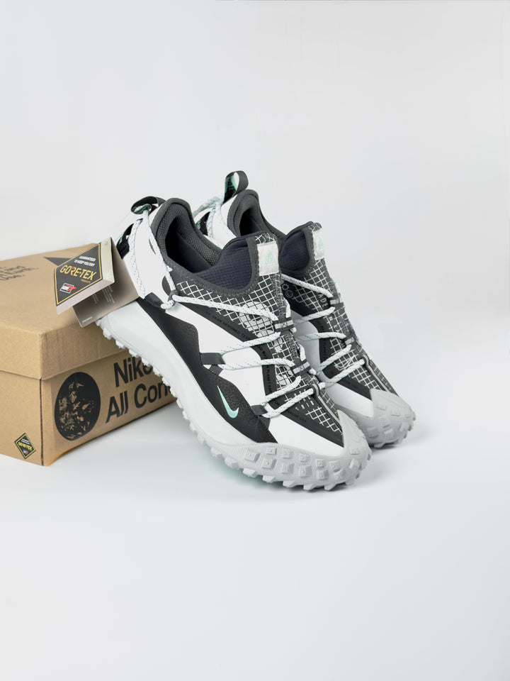 Nike x ACG Mountain Fly Low White/Blue